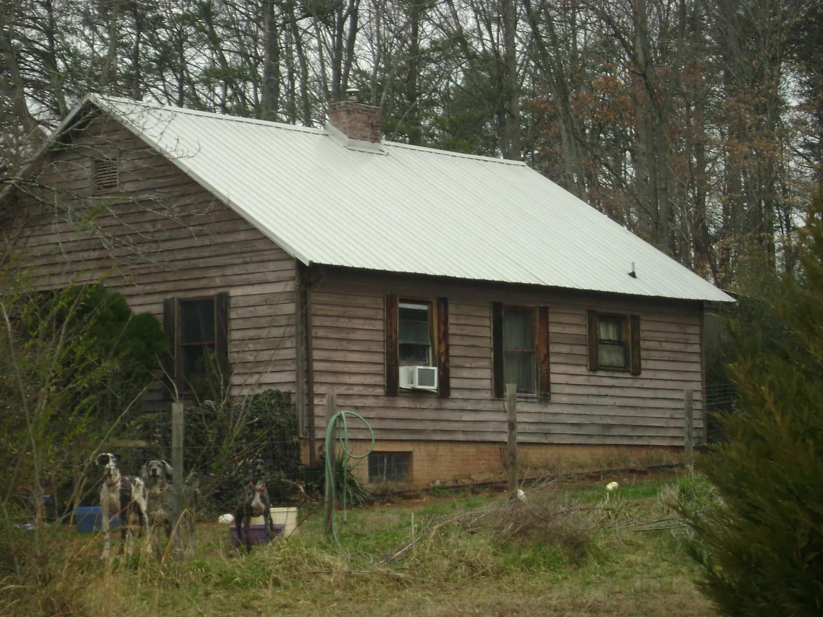 White metal roof on an old wood sided farmhouse, from a Asphalt Shingle Roof Repair job in Martin